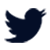 Биздин Twitter